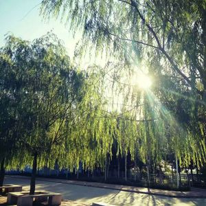 国产亚洲自在精品久久
